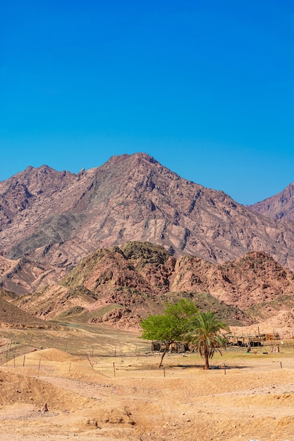 Kleine Beduinengebäude, die in den Bergen der Sinai-Halbinsel leben