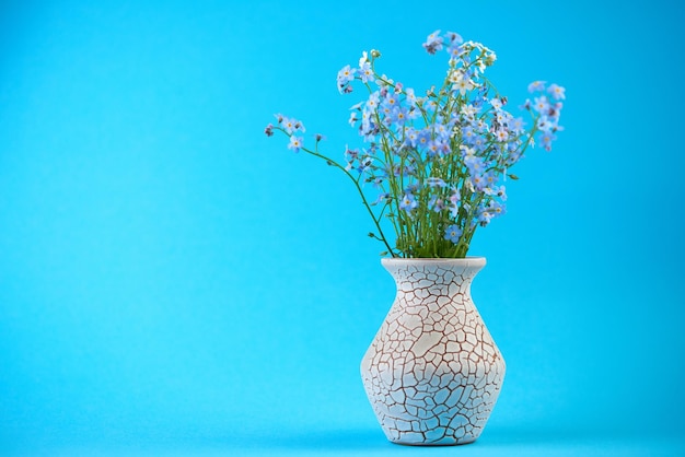 Kleine blaue Blumen in Vase auf farbigem Hintergrund Dünne Stängel kleine zarte Blumen Kleine DOF