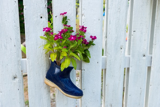 Foto kleine blume im schuh verzieren