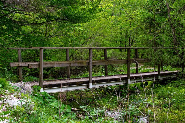 Foto kleine brücke über einen waldfluss in den österreichischen alpen