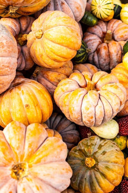 Kleine dekorative Kürbisse auf dem Herbstmarkt