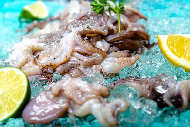 kleine frische Tintenfische, liegen auf dem eisblauen Meereshintergrund, Zitronen- und Limettenscheiben werden rund geschnitten