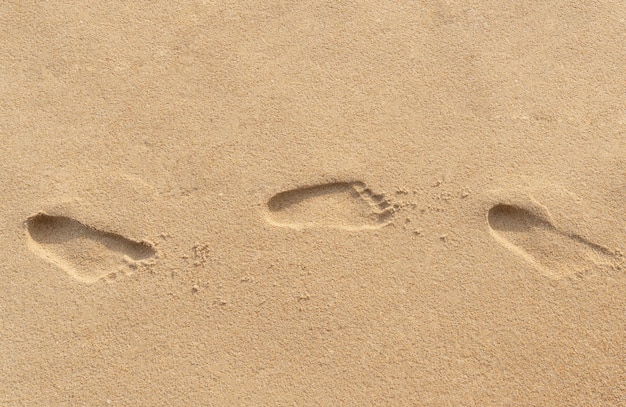 Kleine Fußabdrücke von Kindern auf braunem Sand am Strand