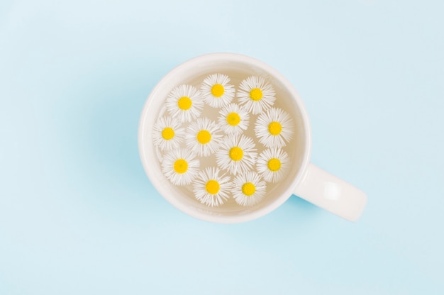 Kleine Gänseblümchenblumen in einer Tasse