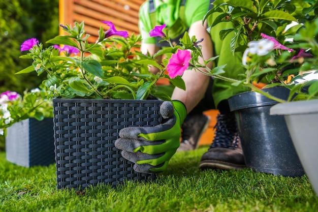 Kleine Gartentöpfe mit Blumen neu bepflanzen und an andere Orte im Garten bringen