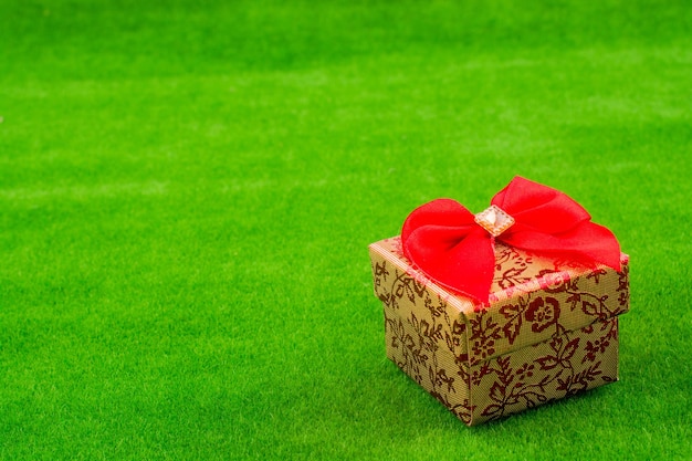Kleine Geschenkbox mit einem Band auf grünem Gras