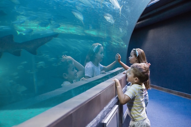 Kleine Geschwister, die Aquarium betrachten