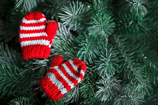 Kleine gestrickte Handschuhe auf dem Weihnachtsbaum