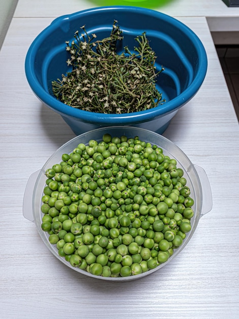 Foto kleine grüne jurubeba-früchte