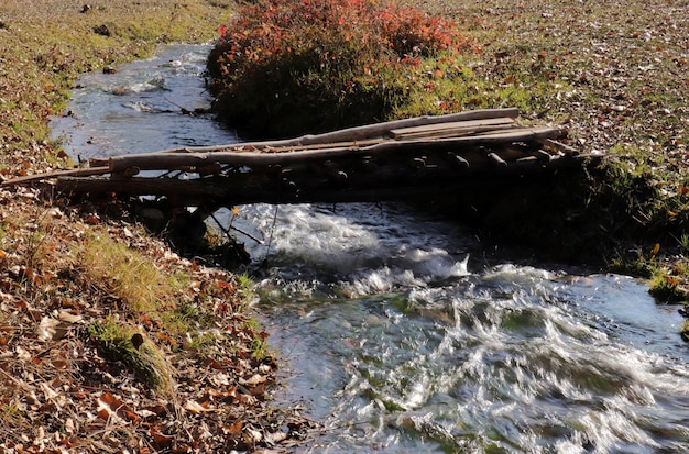 Kleine Holzbrücke Herbstlaub und Fluss