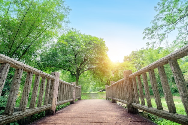 Kleine Holzbrücke, ländliche Landschaft.