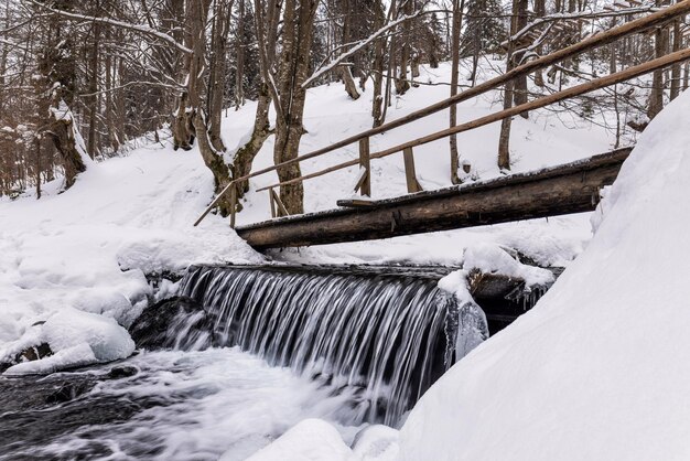 Kleine holzbrücke über einen kalten bergbach in einem winterwaldtal in den schönen karpaten