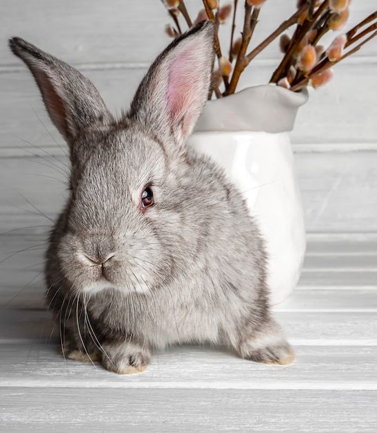 Kleine Kaninchen auf einer hellen Oberfläche. Nahansicht.