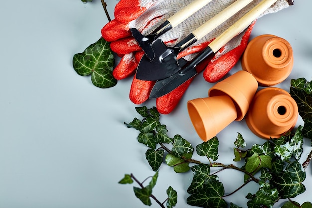 Kleine keramische Blumentöpfe Handschuhe Gartengeräte und grüne Blätter