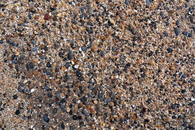 Foto kleine kieselsteine und shellrock-hintergrund