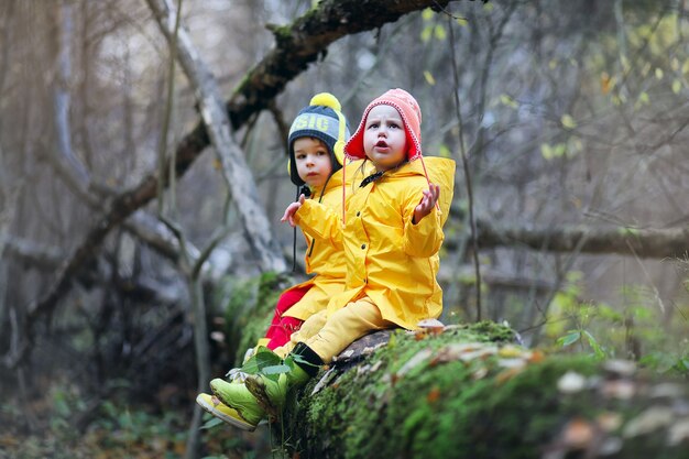 Kleine Kinder gehen im Herbst im Herbstpark spazieren