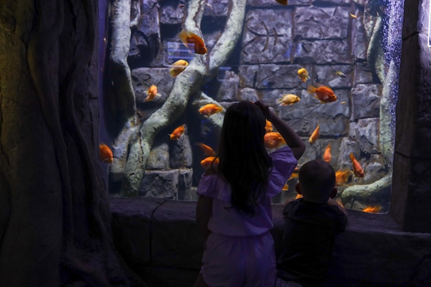 Kleine Kinder im Aquarium schauen sich die Fische an