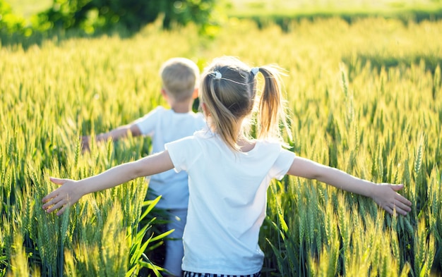 kleine Kinder laufen über ein Weizenfeld