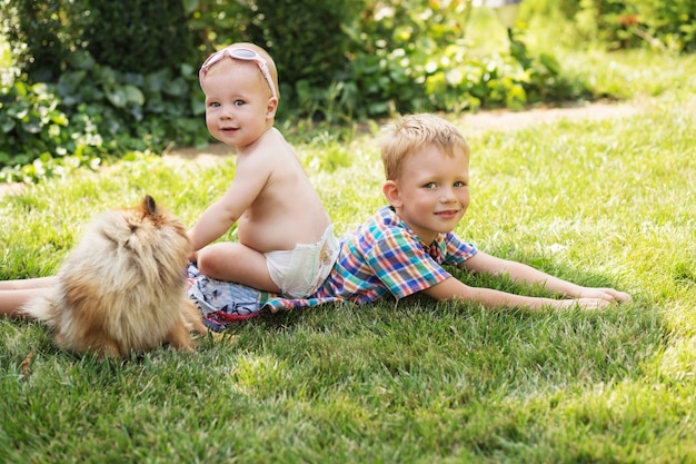 Kleine kinder spielen mit hund auf dem grünen gras