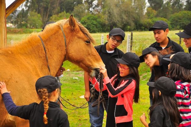 Kleine Kinder und Jugendliche lernen etwas über Pferde. Reitschule in Ecuador