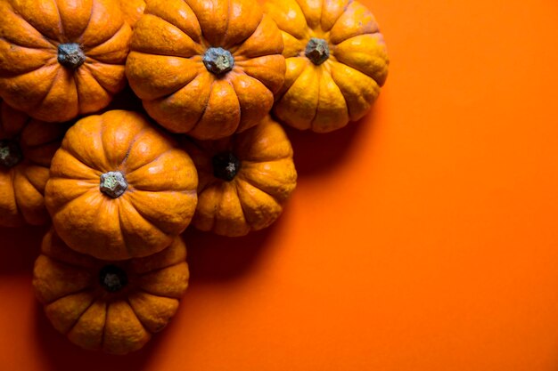 Kleine Kürbisse auf einem leuchtend orangefarbenen Hintergrund Halloween und Thanksgiving-Hintergrund