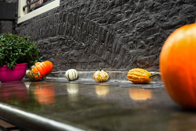 Kleine Kürbisse in verschiedenen Formen. Herbstferien Halloween, Ernten und Dekorieren des Äußeren des Hauses.