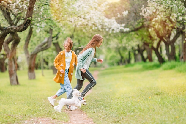 Kleine lächelnde Mädchen, die mit Welpen im Park spielen