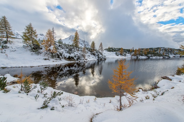 Kleine Lärche am Bergsee im Herbst mit dem ersten Schnee