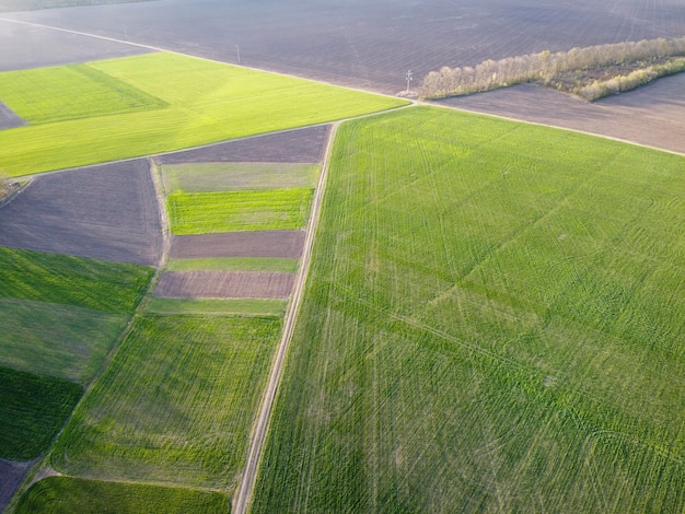 Kleine landwirtschaftliche Plantagen mit verschiedenen Feldfrüchten und Anbau von Feldfrüchten in ländlichen Gebieten