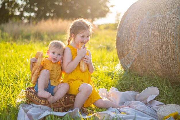 Kleine mädchen essen frisches baguette und obst bei einem picknick bei sonnenuntergang in der natur