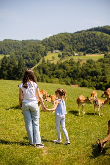 Kleine Mädchen spazieren an einem sonnigen Tag zwischen Rentierherden