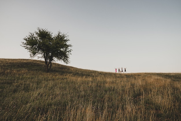 kleine menschen springen in die natur