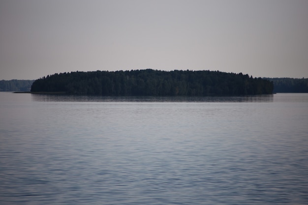 Kleine mit Bäumen bedeckte Insel im See