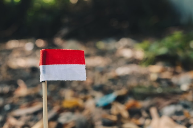 Foto kleine rot-weiße farbflagge auf verschwommenem hintergrund