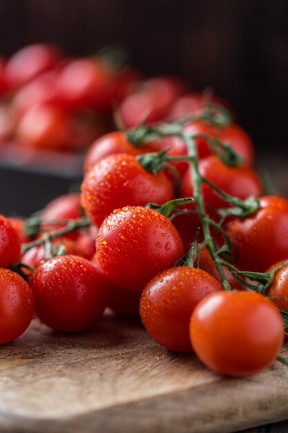 Kleine rote Kirschtomaten. Kirschtomaten auf einem Ast