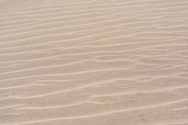 Kleine Sanddünenstruktur.