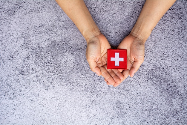 Kleine Schweizer Flagge in der Hand. Liebe, Fürsorge, Schutz und sicheres Konzept.