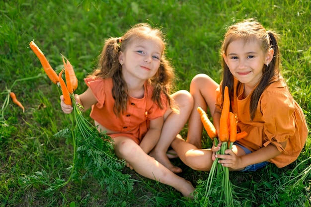 Kleine Schwestermädchen essen frische natürliche Karotten