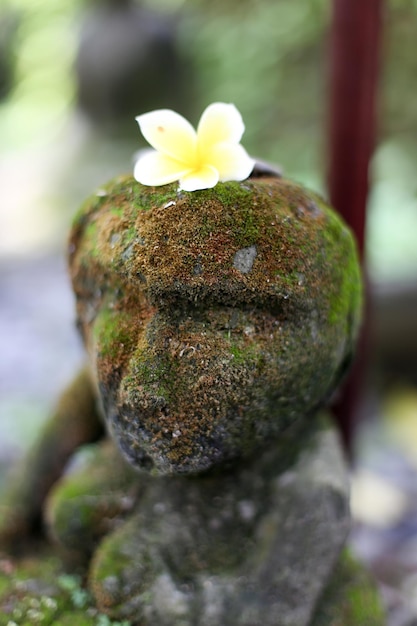 Kleine Steinstatue im Hausgarten mit Blume