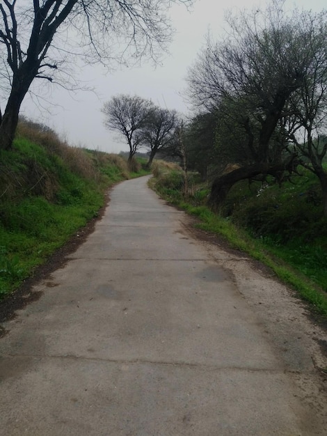 Kleine Straße in einem Wald