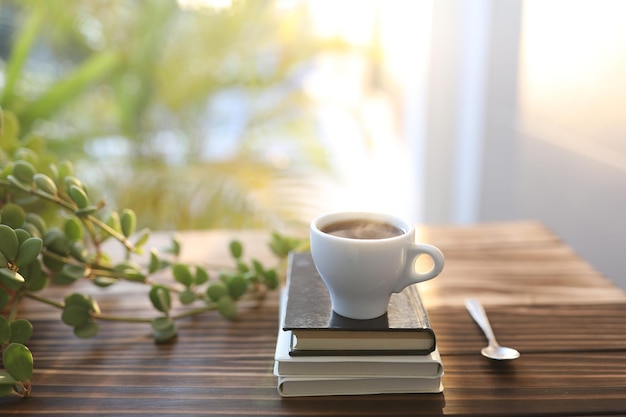 Kleine Tasse Kaffee und Notizbücher und Pflanze Peperomia Hope