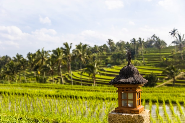 Kleiner Altar an den Reisfeldern von Jatiluwih in Südost-Bali