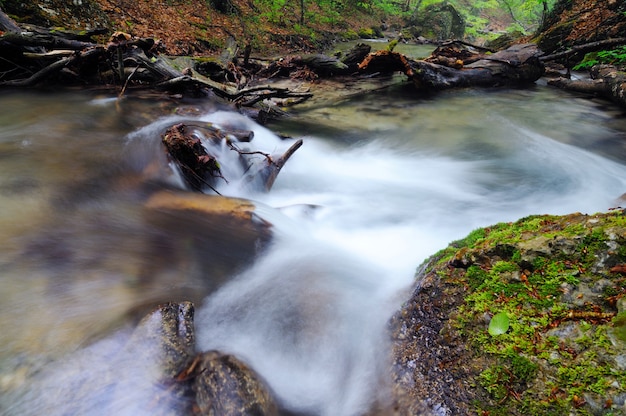 Kleiner Bach fließt mit Wasserfall und moosigen Steinen herum
