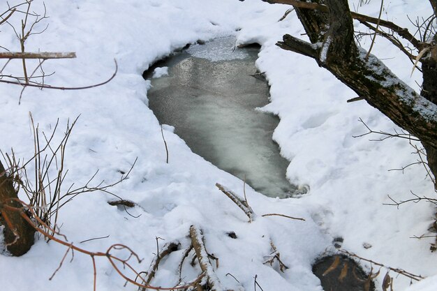 Kleiner Bach im verschneiten Wald