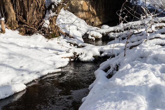 Kleiner Bach im verschneiten Wald