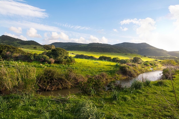 Kleiner Bach in einem grünen Feld auf Sardinien