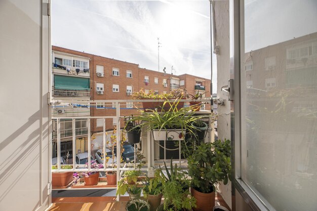 Foto kleiner balkon eines hauses mit bemalten pflanzen in einer ecke und terrakotta-bodenböden