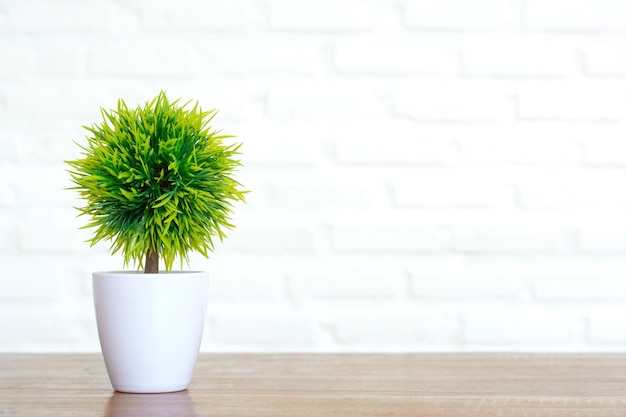 Kleiner Baum auf dem Tisch mit Kopienraum