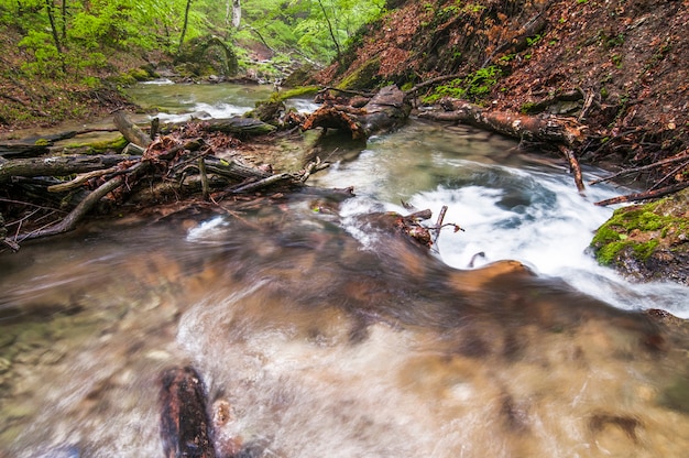 Kleiner Bergwasserfall fließt über moosige Steine und mit Nebel bedeckt, Farn wächst am Ufer