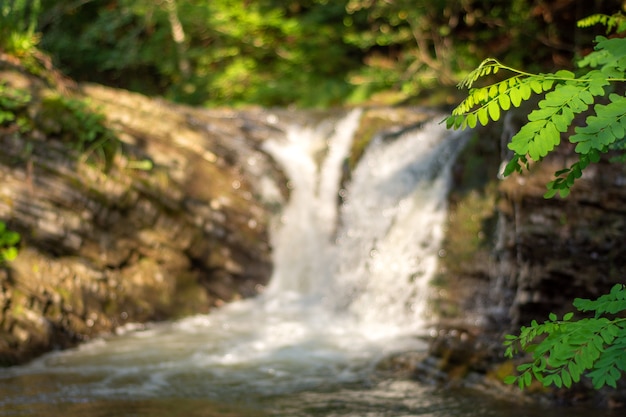 Kleiner Bergwasserfall in den Karpaten